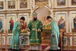 литургия вербное 176_resize
